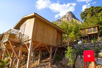 Tree Houses