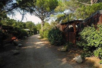 Outdoor Pictures 22