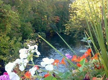 Outdoor Pictures 24