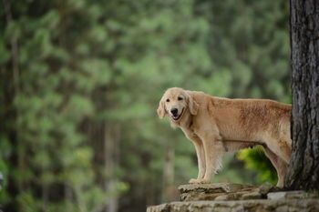 Outdoor Pictures 20