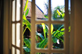 Outdoor Pictures 16