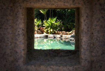 Outdoor Pictures 9