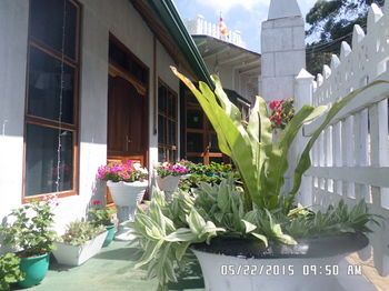 Outdoor Pictures 16
