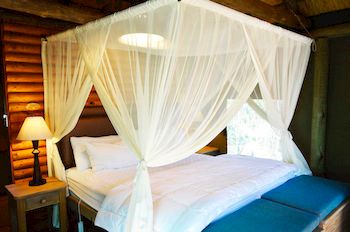Honeyguide Ranger Camp