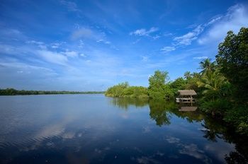 Outdoor Pictures 20