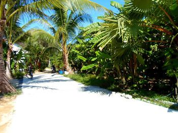 Outdoor Pictures 24