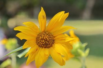 Outdoor Pictures 20