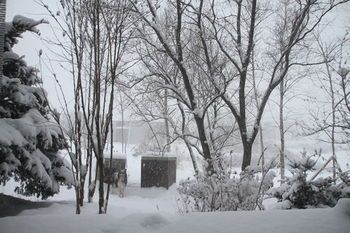 Outdoor Pictures 20