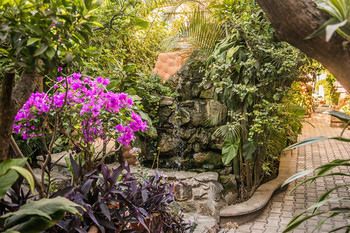 Outdoor Pictures 22