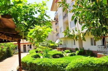 Outdoor Pictures 15
