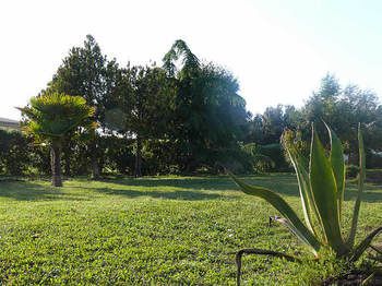 Outdoor Pictures 19