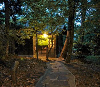 Outdoor Pictures 23