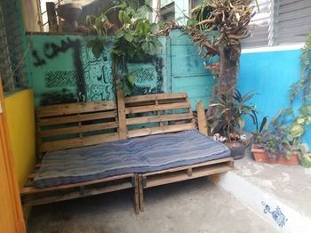 Outdoor Pictures 3