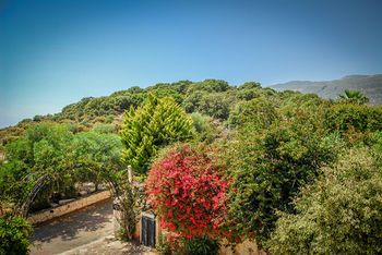 Outdoor Pictures 21