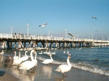Outdoor Pictures 17