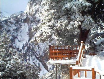 Outdoor Pictures 20