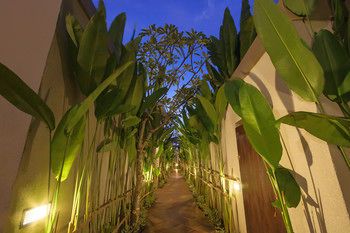 Outdoor Pictures 21