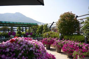 Outdoor Pictures 21