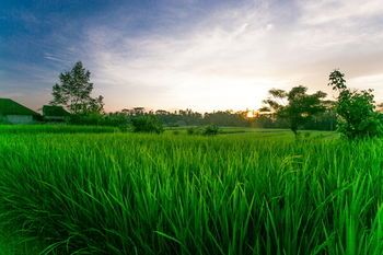 Outdoor Pictures 20