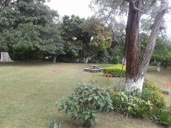 Outdoor Pictures 23