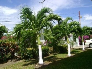 Outdoor Pictures 24