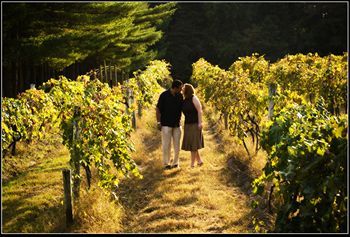 Outdoor Pictures 24