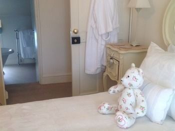 Lilly's Pad