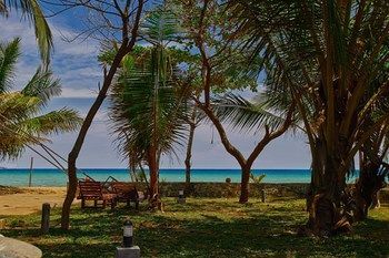 Outdoor Pictures 21