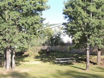 Outdoor Pictures 24