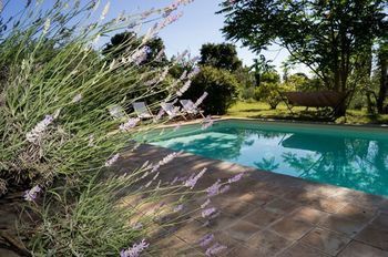 Outdoor Pictures 23