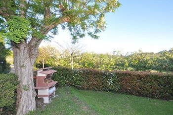 Outdoor Pictures 9