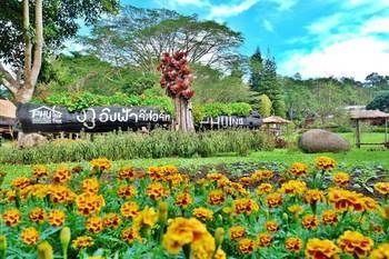 Outdoor Pictures 20