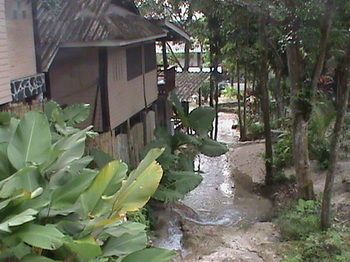 Outdoor Pictures 12