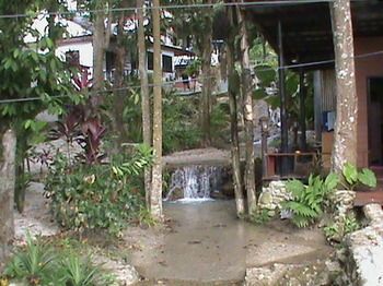 Outdoor Pictures 10