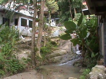 Outdoor Pictures 11