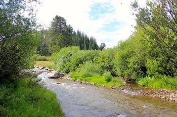 Outdoor Pictures 21