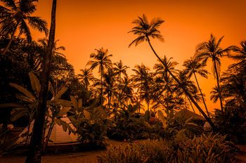 Outdoor Pictures 20