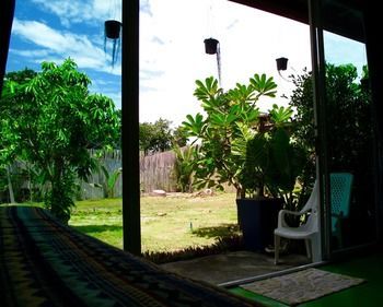 Outdoor Pictures 21