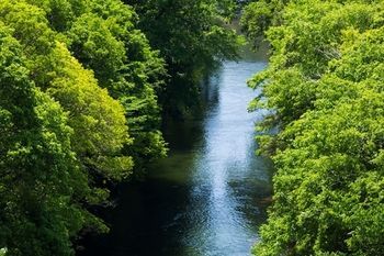 Outdoor Pictures 20