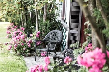 Outdoor Pictures 21