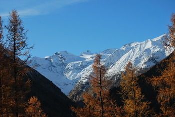 Outdoor Pictures 23