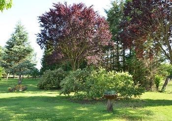 Outdoor Pictures 5