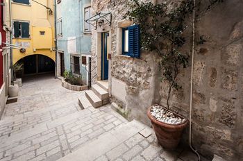 Outdoor Pictures 24