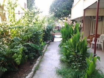 Outdoor Pictures 17