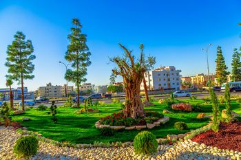 Outdoor Pictures 22