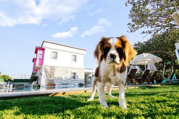 Outdoor Pictures 22