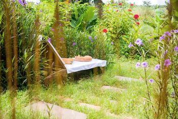 Outdoor Pictures 21