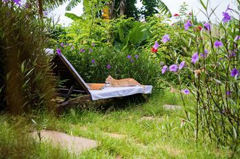 Outdoor Pictures 22