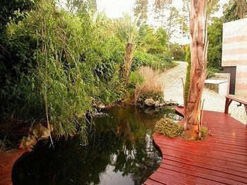 Constantia Vista Guest House
