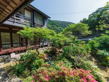 Outdoor Pictures 21